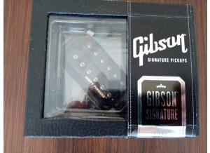 Gibson dirty f (2)