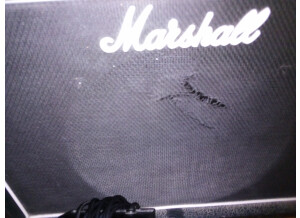 Marshall DSL401 (90037)