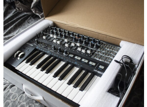 Arturia MiniBrute 2 (39236)