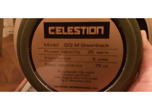 Celestion G12M Greenback (38669)