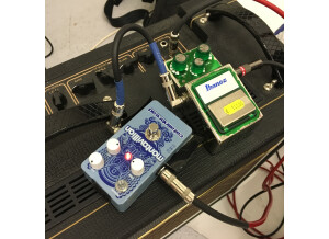 Catalinbread Montavillian Echo (32443)