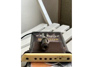 L.R. Baggs M1 Active (52275)