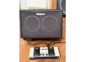 Roland AC-33 (27155)