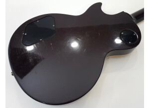 Gibson Slash Les Paul Standard 2008 (89387)