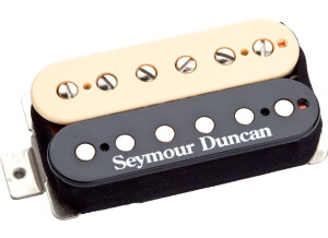 Seymour Duncan SHPG-1N Pearly Gates Neck (84453)