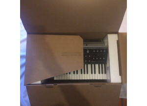 Moog Music SUB 37 (9678)