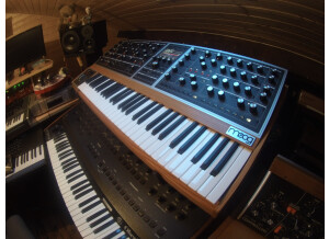 Moog Music Moog One 8 (99517)