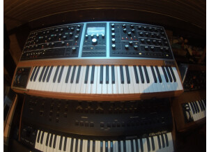 Moog Music Moog One 8 (77612)