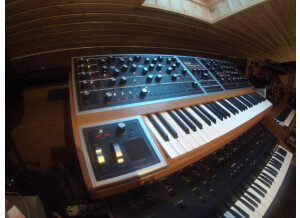 Moog Music Moog One 8 (9342)