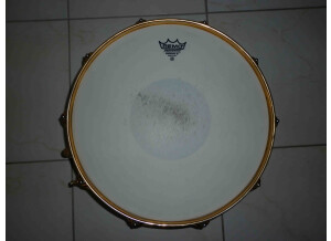 Pearl Jimmy Degrasso Snare