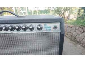 Fender Dual Showman Reverb (SilverFace) (3143)