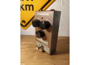 TC Electronic EchoBrain Analog Delay (43630)