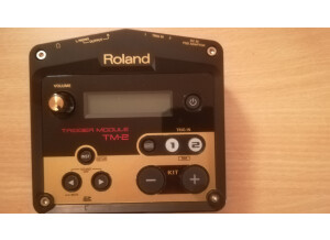 Roland TM-2 Trigger Module (95789)