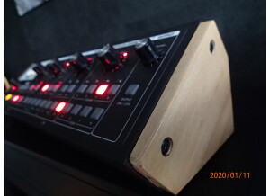 Moog SP (3).JPG