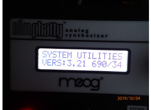 Moog SlimPhatty (1).JPG