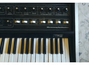 Moog Music MicroMoog (38448)
