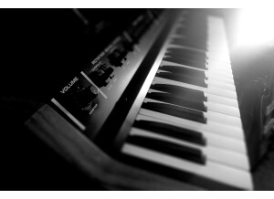 Crumar Toccata (73814)