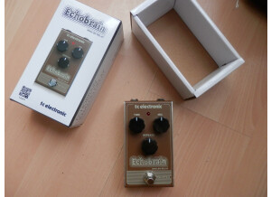 TC Electronic EchoBrain Analog Delay (46932)