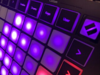 purple purple
