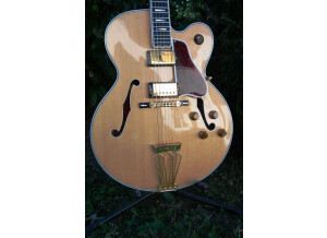 Gibson Byrdland (48411)