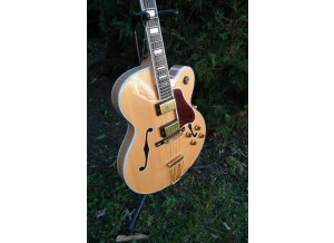 Gibson Byrdland (38737)