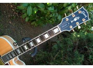 Gibson Byrdland (94650)