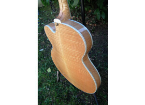 Gibson Byrdland (96382)