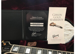 Gibson Byrdland (40379)