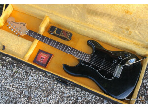 Fender 25th anniversary American Stratocaster (1979) (42273)
