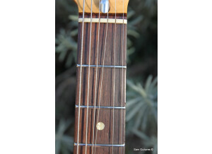Fender 25th anniversary American Stratocaster (1979) (53838)
