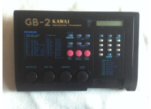 Kawai GB 2 Session Trainer (37675)