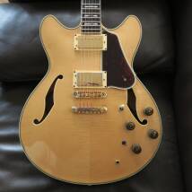 Ibanez AS200 (1979-2001)