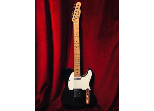 Taylor GS Mini (Mahogany Top) (55087)