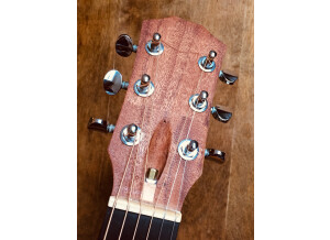 Taylor GS Mini (Mahogany Top) (7700)