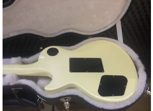 Gibson Les Paul Axcess Standard with Floyd Rose (51856)