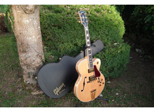 Gibson Byrdland (882)
