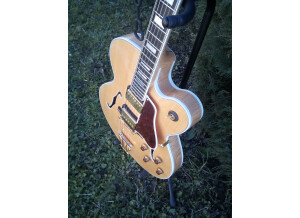 Gibson Byrdland (56883)