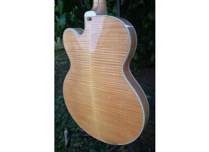 Gibson Byrdland (92595)