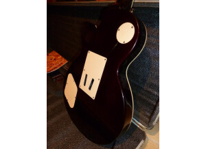 Epiphone Les Paul Plustop PRO/FX