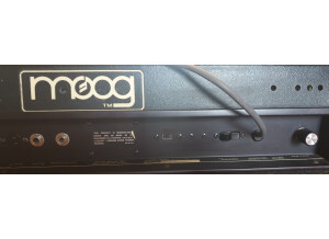 Moog Music MicroMoog (29596)