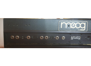 Moog Music MicroMoog (71411)