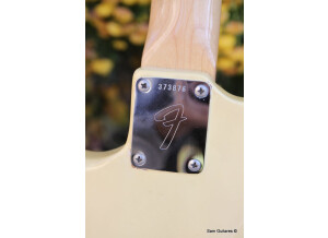 Fender Mustang [1964-1982] (2454)