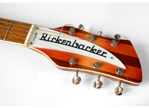 Rickenbacker 360