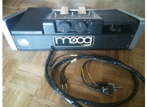 Moog Music PolyMoog