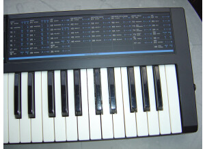 Korg Poly-800 v2 (45251)