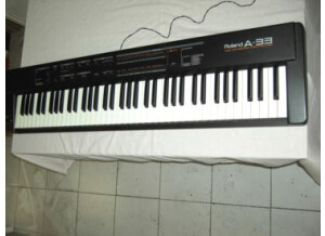 Roland A-33 (15174)