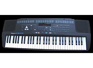 Roland E-16 (80173)