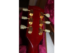 Gibson BluesHawk (31488)