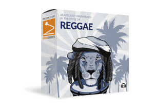 Singular Sound Reggae - Beats in the Style Of