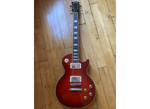 Gibson Les Paul Standard (2002) (20317)